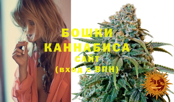 a pvp Белокуриха