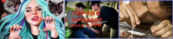 a pvp Белокуриха