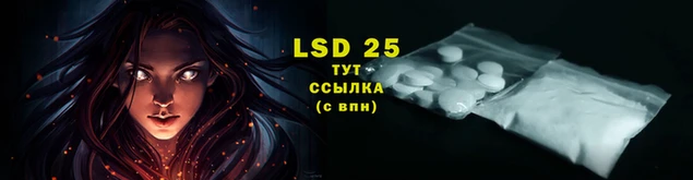 прущие грибы Богородицк