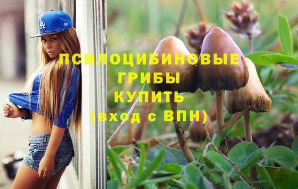 прущие грибы Богородицк